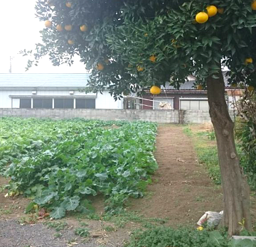 邑楽郡大泉町 土地買取